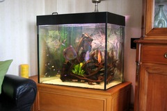 Killikus&reg; Fotographie